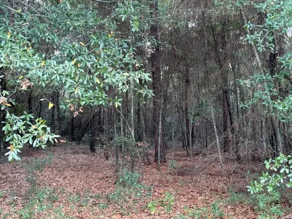 Lot 32 Marie Lane, Bainbridge, GA 39817