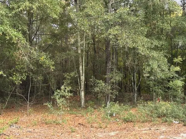Lot 33 Marie Lane, Bainbridge, GA 39817 - Image #1
