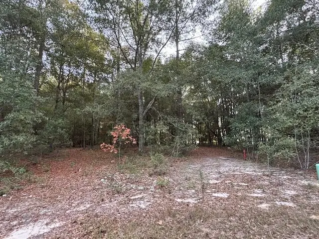 Lot 33 Marie Lane, Bainbridge, GA 39817 - Image #3