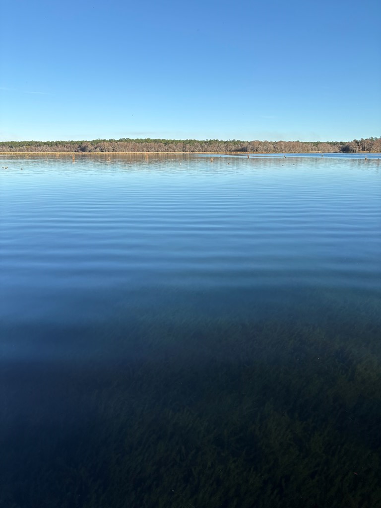 7779 Spring Creek Drive, Donalsonville, GA 39845 - Image #2