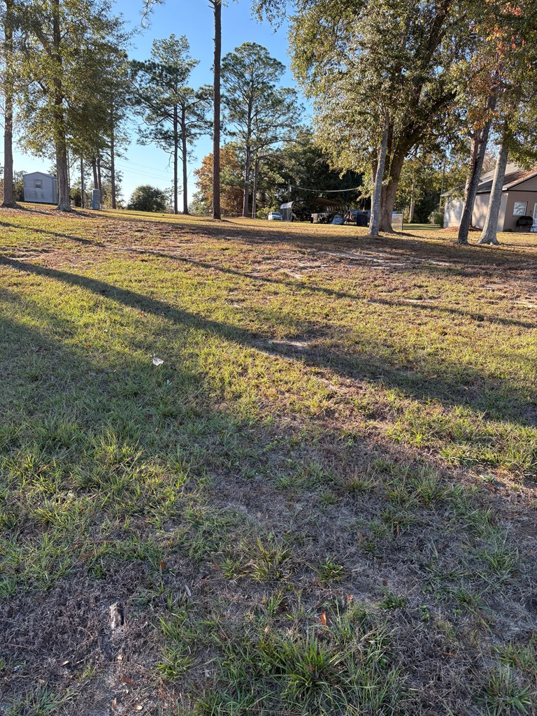 7779 Spring Creek Drive, Donalsonville, GA 39845 - Image #3