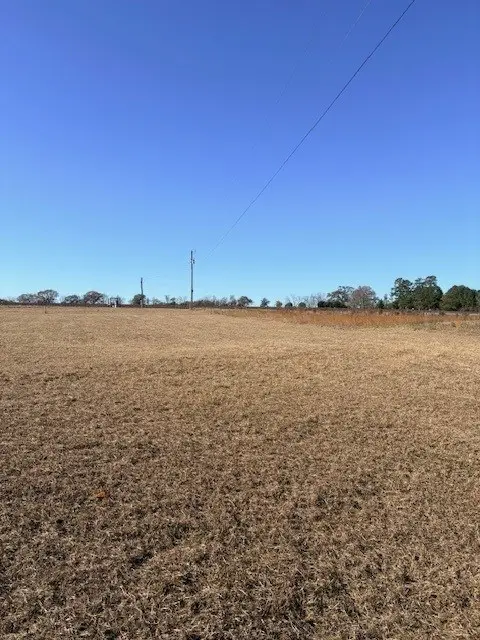 4135 Ga Hwy 111 North, Cairo, GA 39827 - Image #3