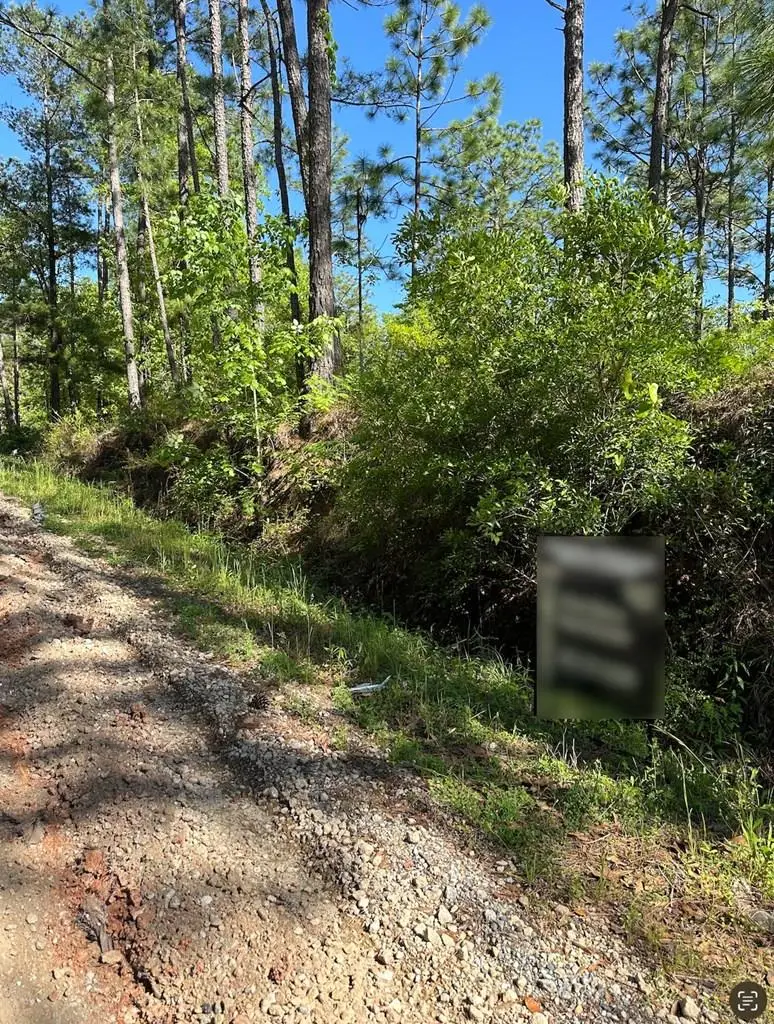 00 Dell, Bainbridge, GA 39819 - Image #1