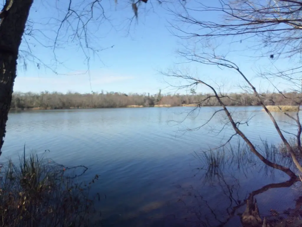 226 Riverchase Dr, Bainbridge, GA 39819 - Image #1