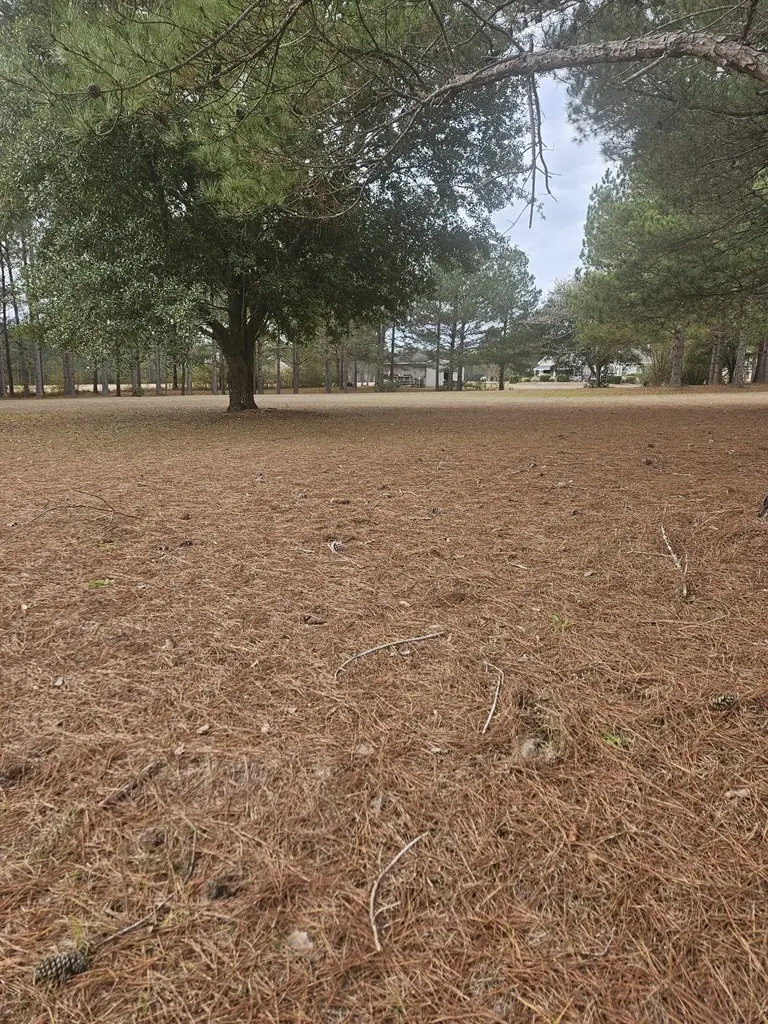 Lot 27 West Lake Dr, Cairo, GA 39828 - Image #2