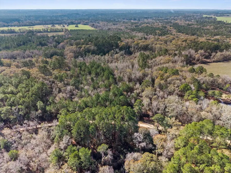 0 Big Pond Lane, Thomasville, GA 31757 - Image #2