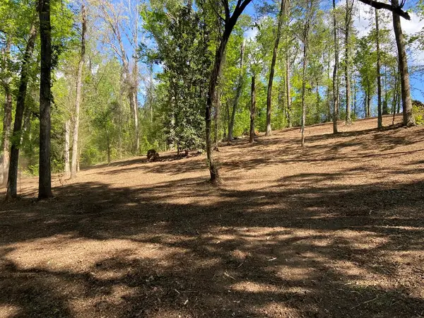 0 Booster Club Rd Lots 17 & 18, Bainbridge, GA 39819