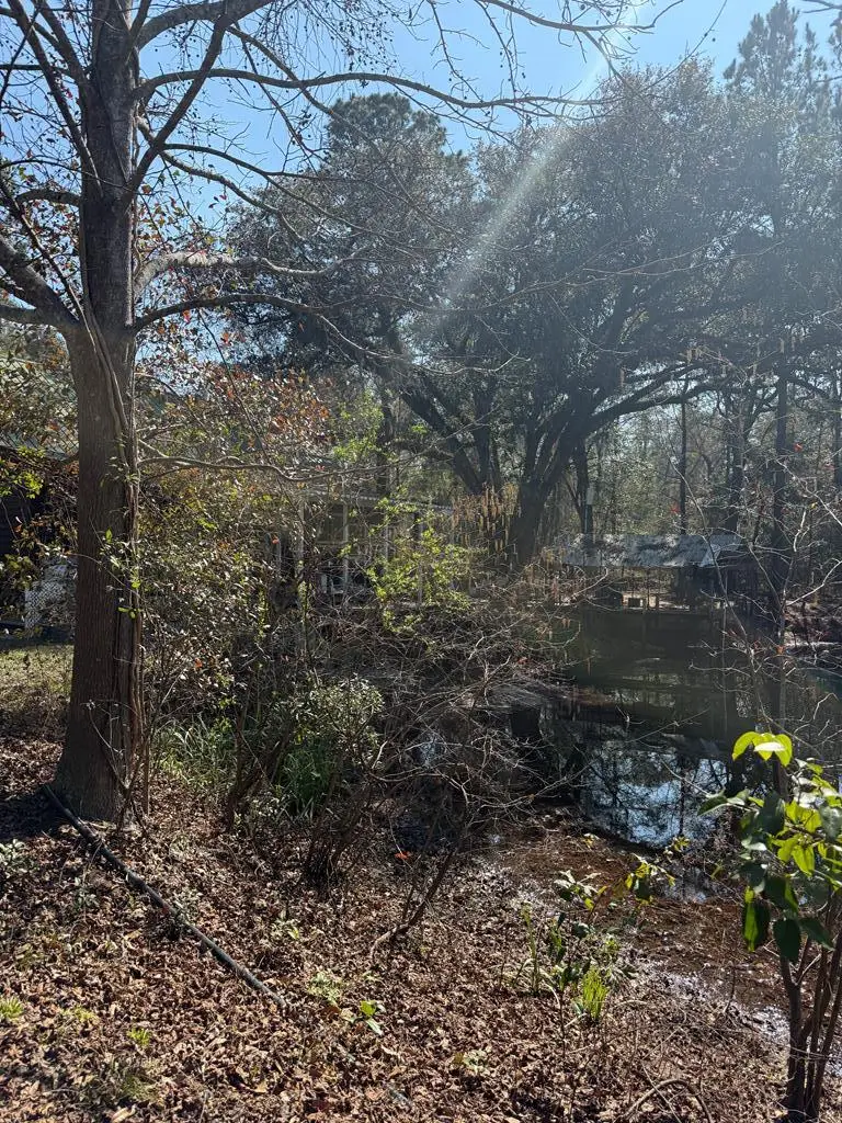 2574 Lake Douglas, Bainbridge, GA 39819 - #3