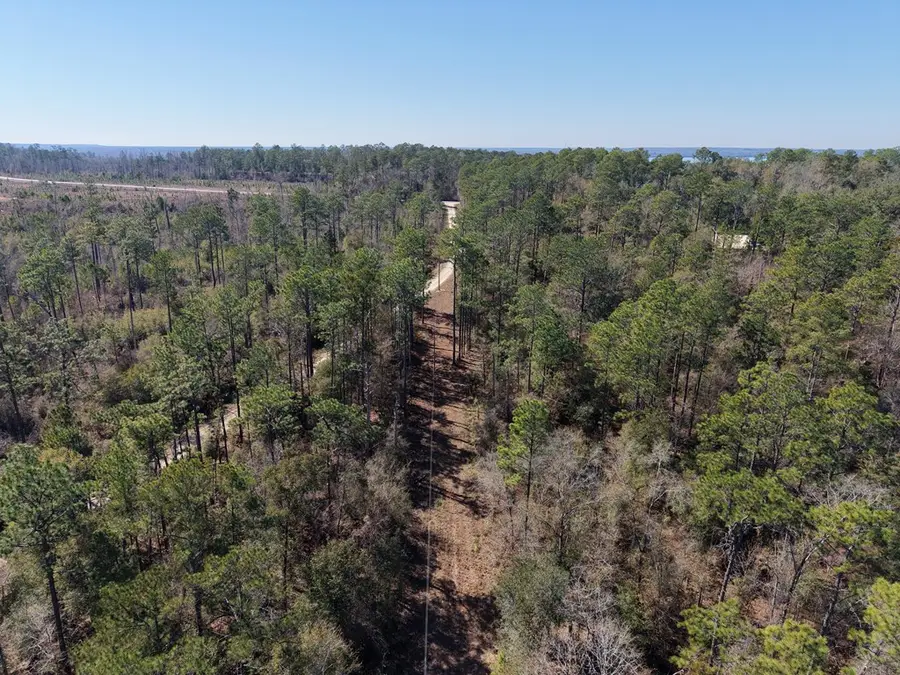 93 Acres Dell Road, Bainbridge, GA 39819 - #2
