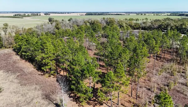 0 Lone Oak Tr., Colquitt, GA 39837