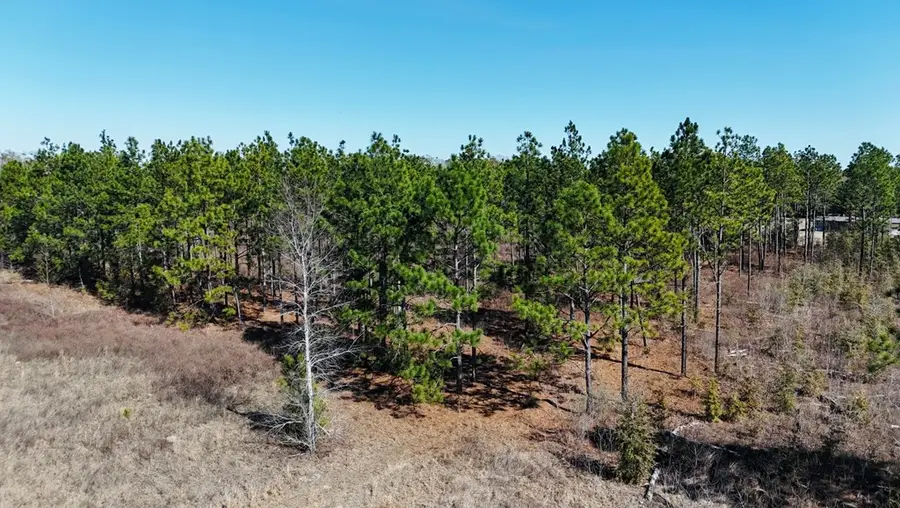 0 Lone Oak Tr., Colquitt, GA 39837 - #2