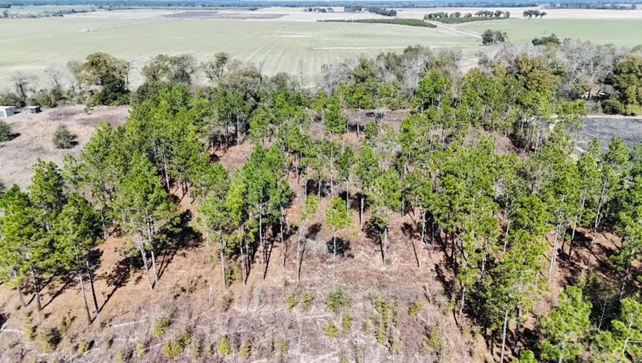 0 Lone Oak Tr., Colquitt, GA 39837 - #3