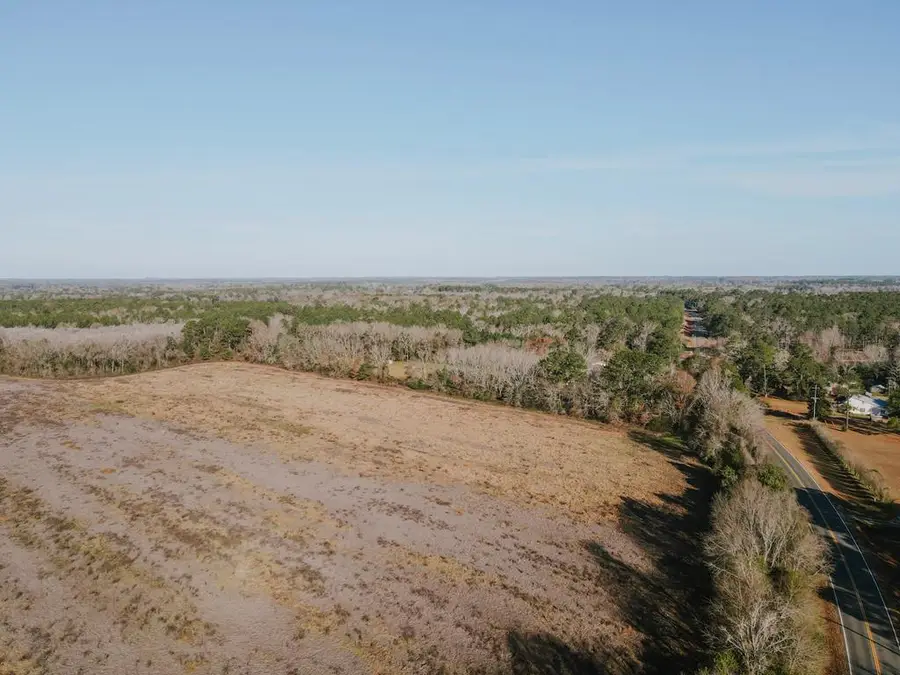 309 Hwy 309 Fowlstown Rd, Bainbridge, GA 39817 - #3