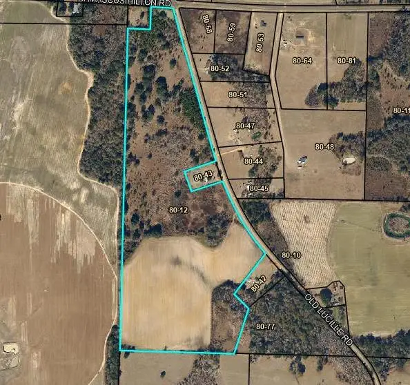 0080012 Old Lucile Rd, Blakely, GA 39823 - #2