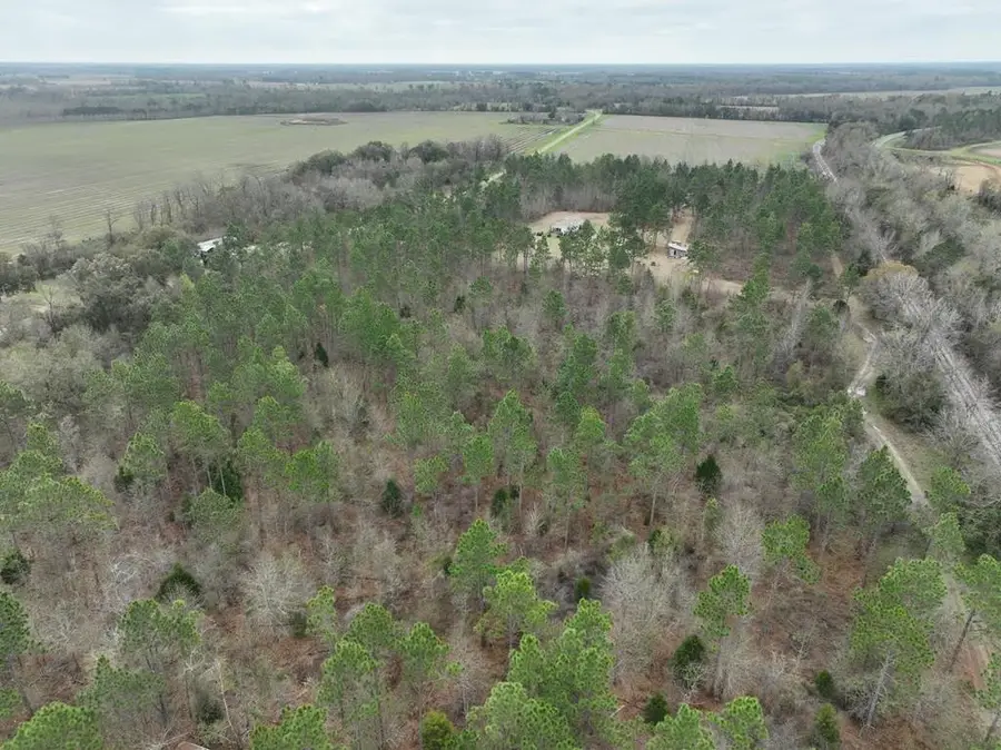 6175 Killebrew Rd, Damascus, GA 39841 - #2