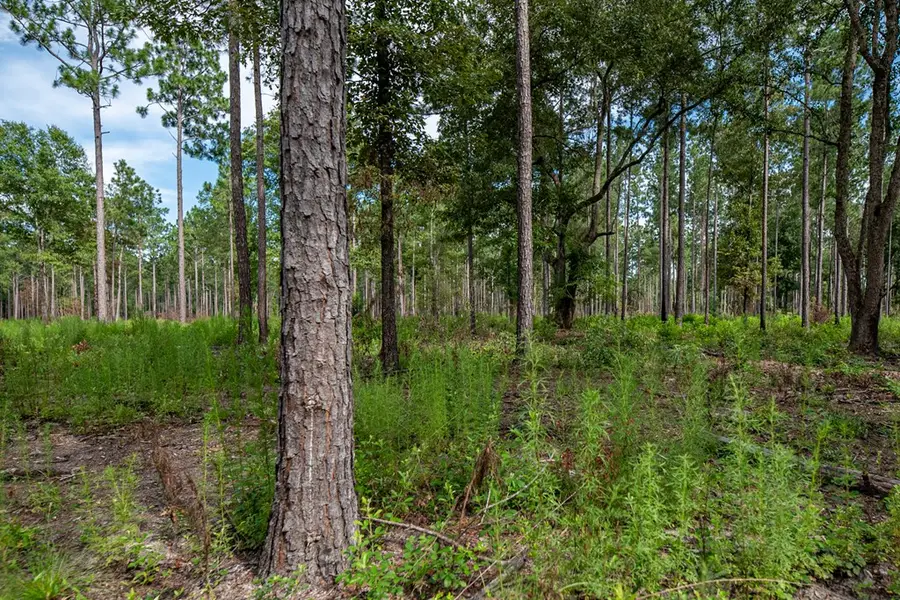 86 Willow Nook, Arlington, GA 39813 - #3