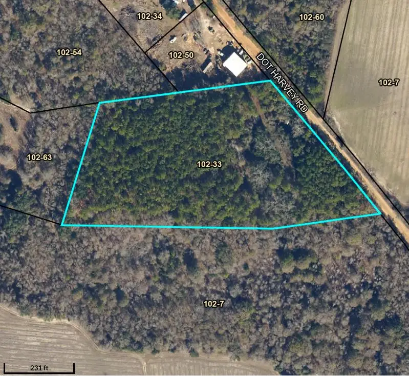 LL204/26 Dot Harvey Road, Jakin, GA 39861 - #2