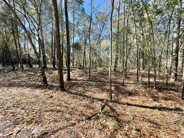Lot 4C Knollwood, Bainbridge, GA 39819
