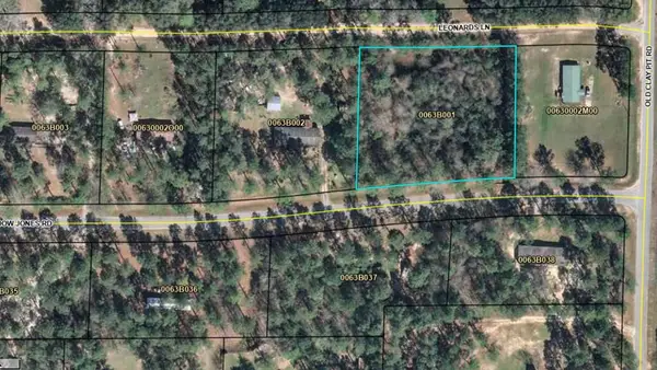 Lot 1 Dow Jones Road, Bainbridge, GA 39817