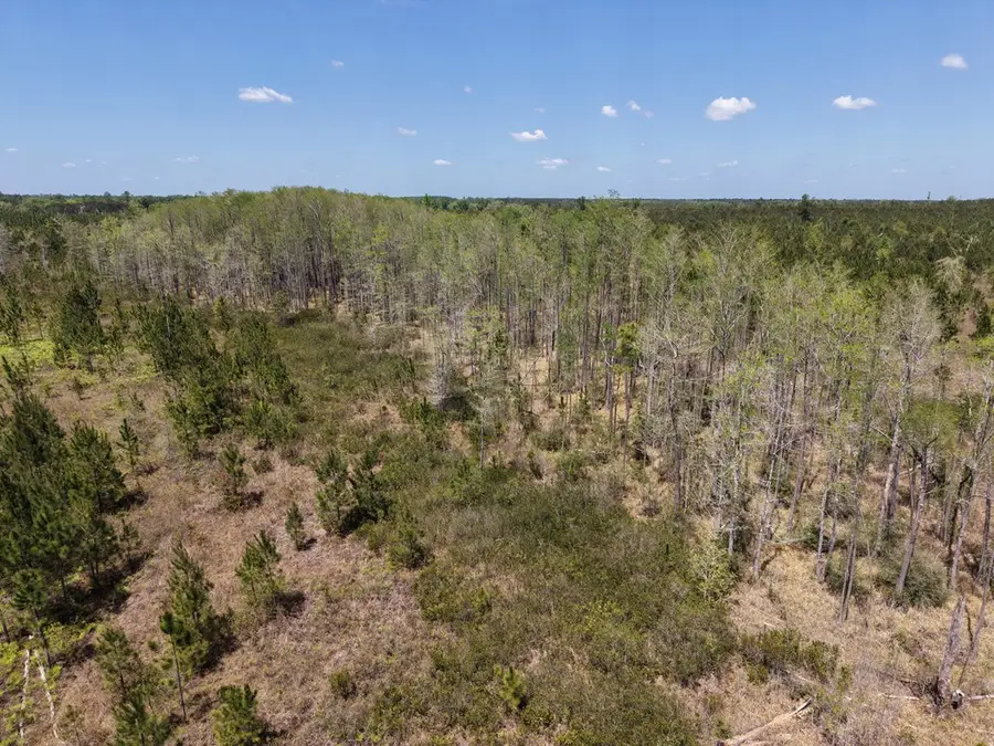 380 Ac Ga -370, Blakely, GA 39823 - #3