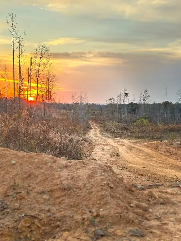440 Ac Cotton Hill Road, Fort Gaines, GA 39851