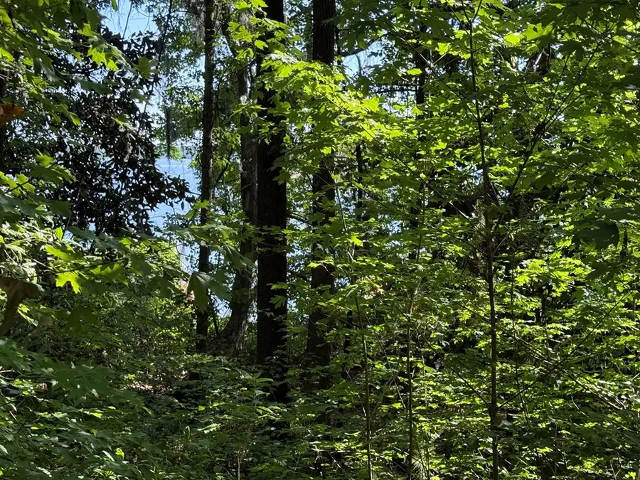 Lot 3 Lakeshore Drive, Bainbridge, GA 39819 - #2