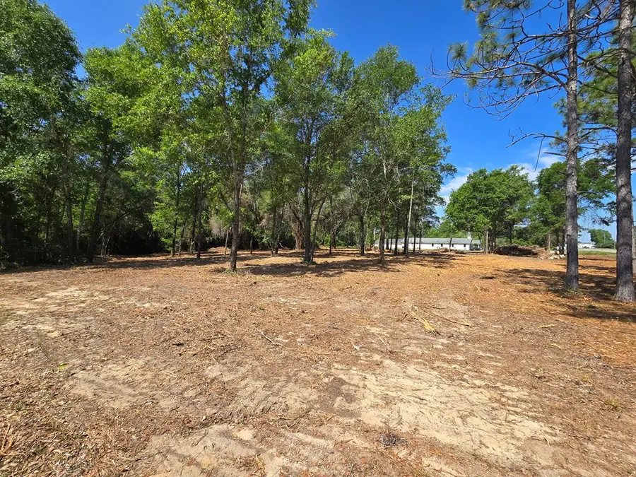 2126 Dothan Road, Bainbridge, GA 39817 - #3