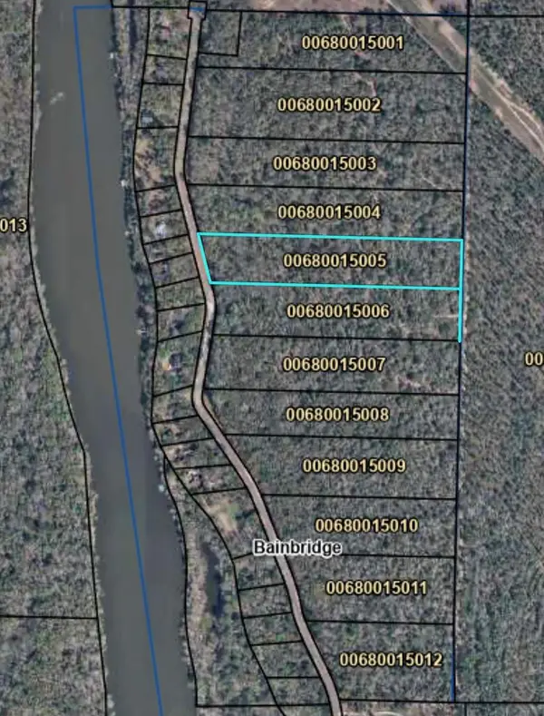 514 543 Tract 8 Rivervale Drive, Bainbridge, GA 39817