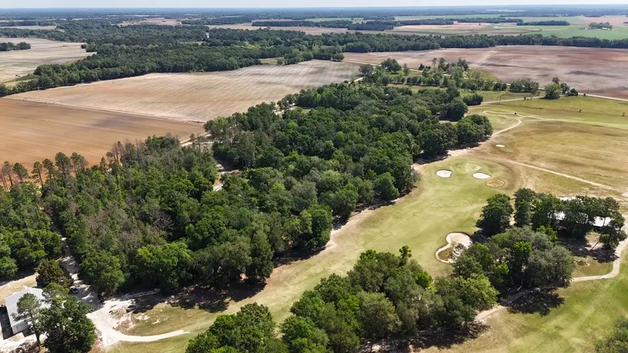 000 Keaton Circle, Colquitt, GA 39837 - #3
