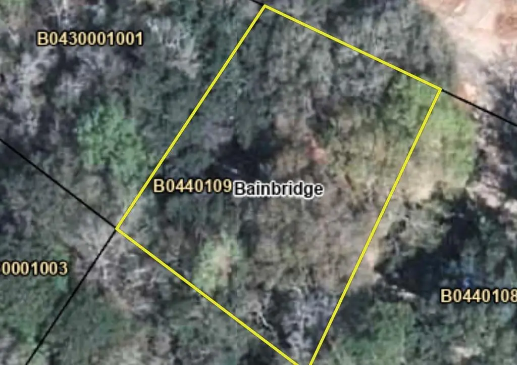0 Redwine, Bainbridge, GA 39817 - #1