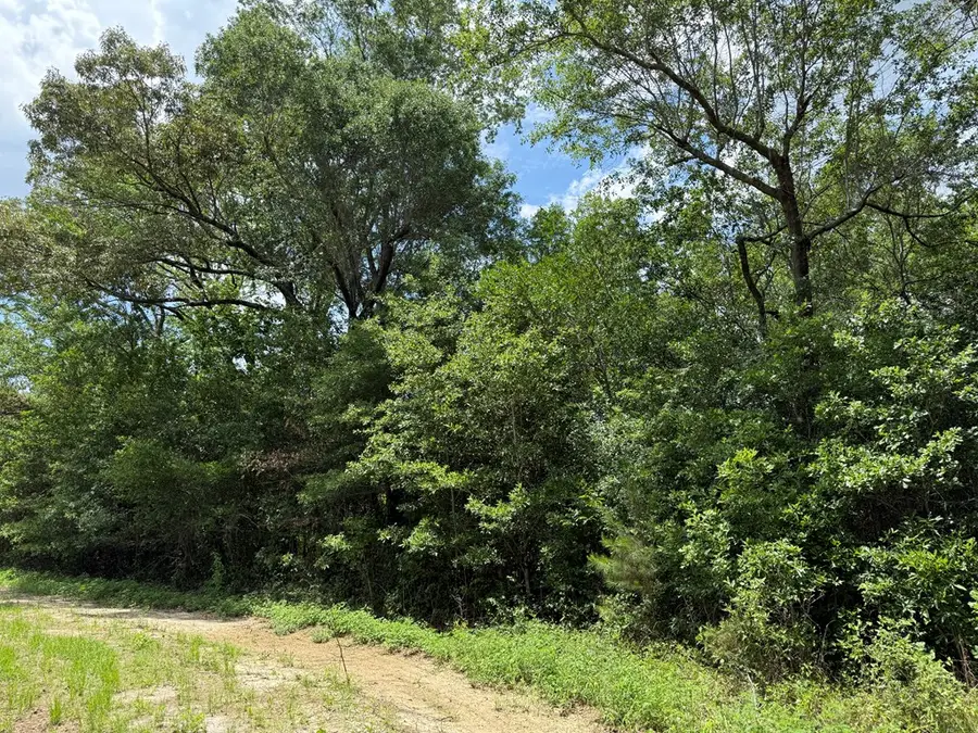 64.47 Ac Old Faceville Rd, Bainbridge, GA 39819 - #2