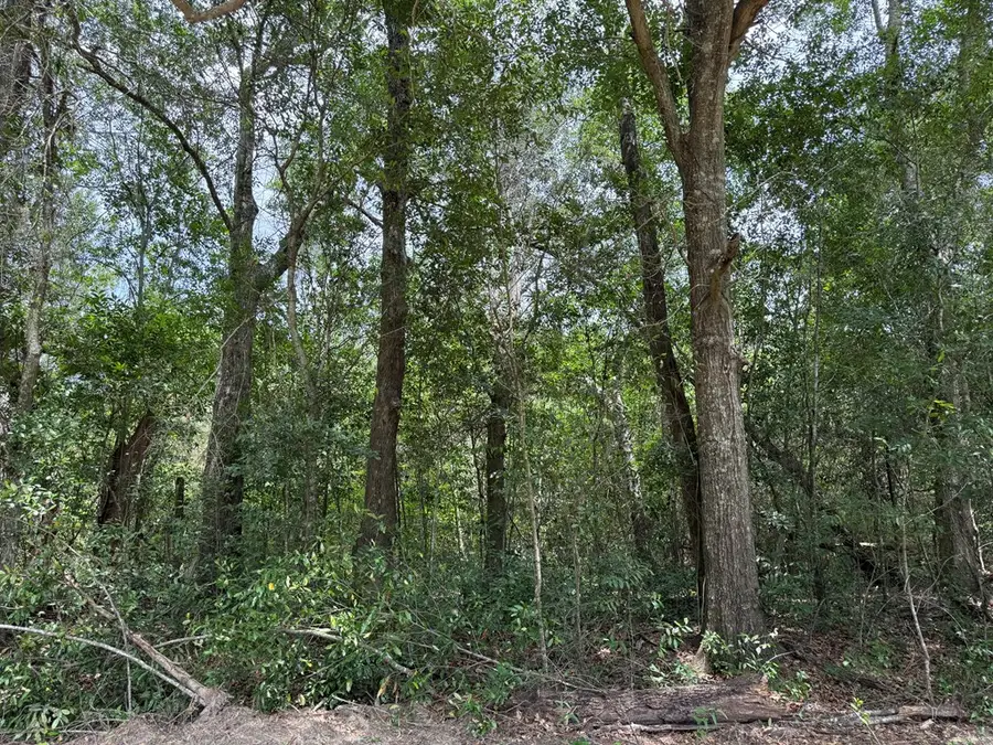64.47 Ac Old Faceville Rd, Bainbridge, GA 39819 - #3