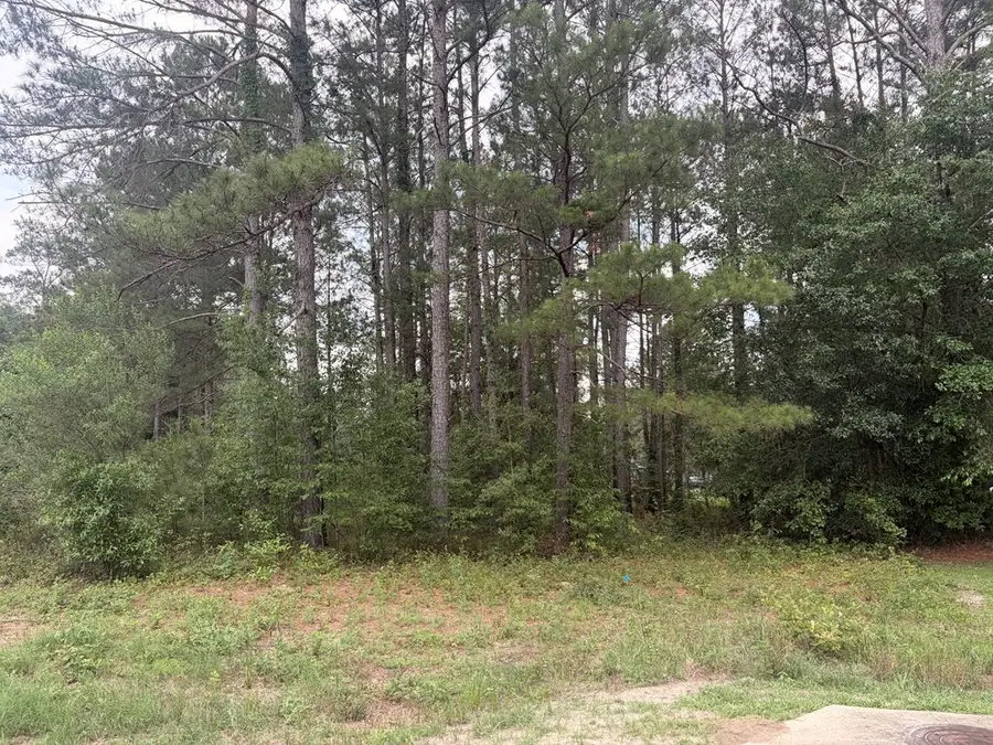50 West Shore Dr, Ochlocknee, GA 31773 - #2