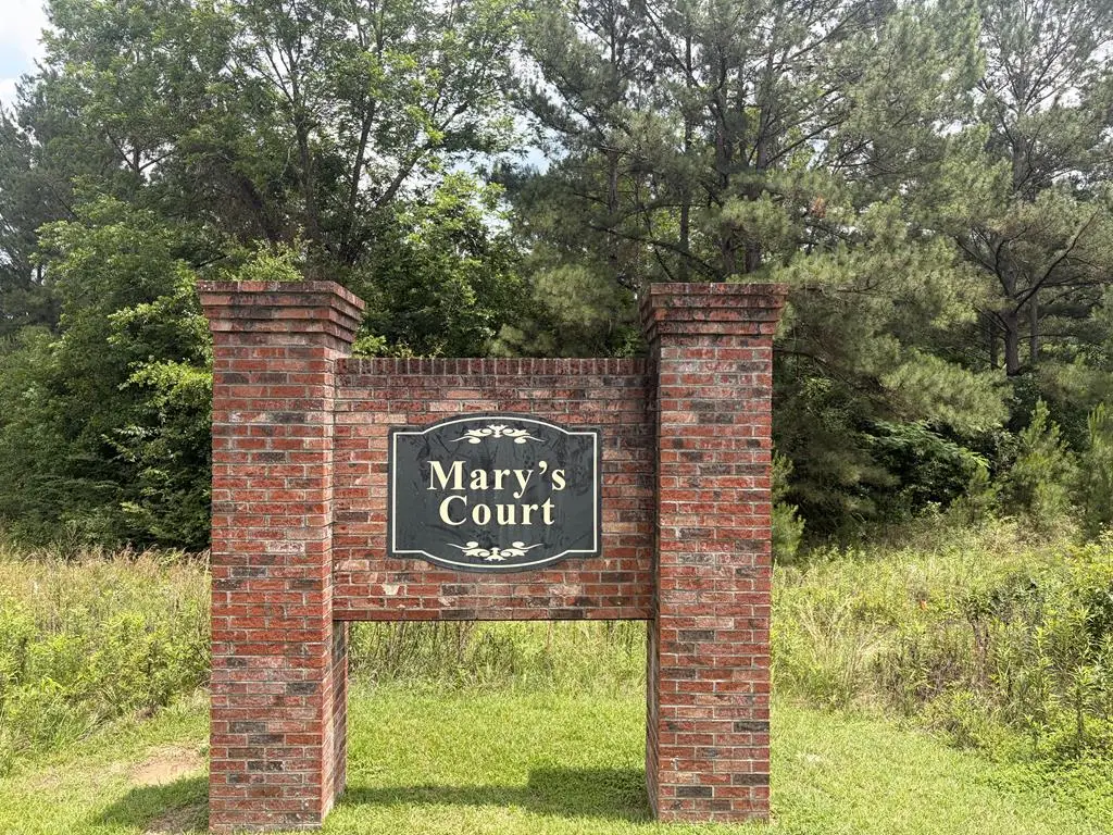 101 Mary's Ct, Ochlocknee, GA 31773 - #1
