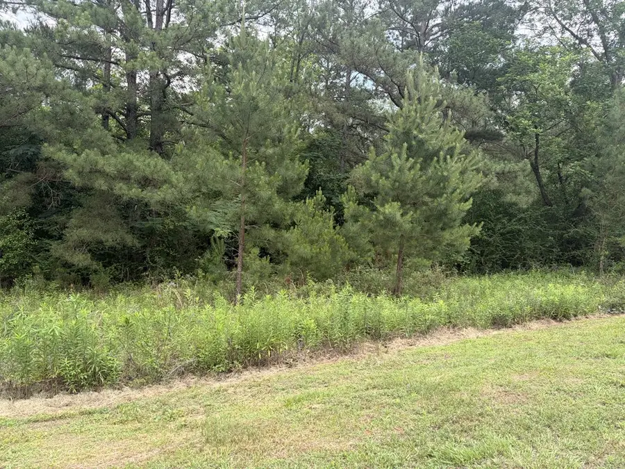 103 Mary's Ct, Ochlocknee, GA 31773 - #2