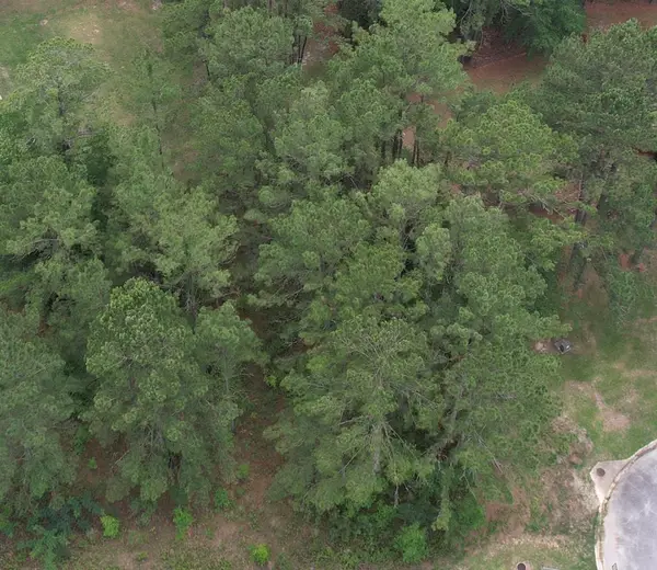 115 Mary's Ct, Ochlocknee, GA 31773
