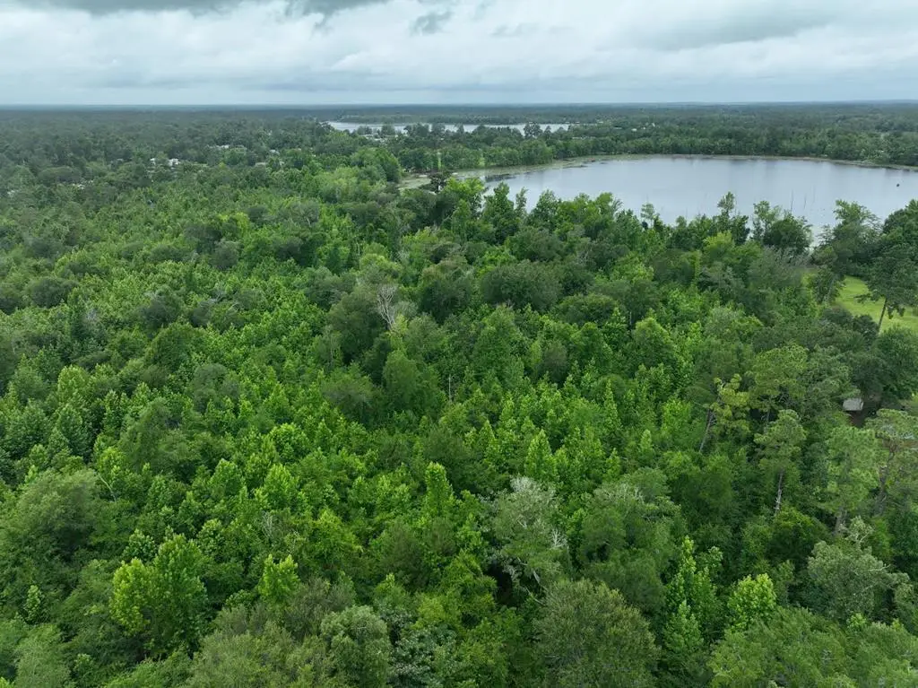 00 Holly Island Dr, Donalsonville, GA 39845 - #1