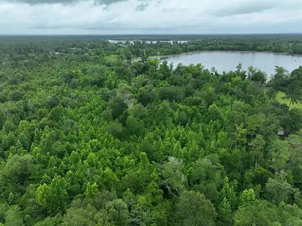 00 Holly Island Dr, Donalsonville, GA 39845