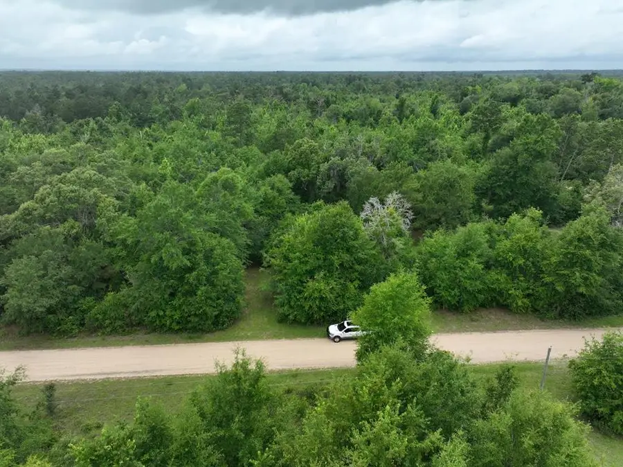 00 Holly Island Dr, Donalsonville, GA 39845 - #3