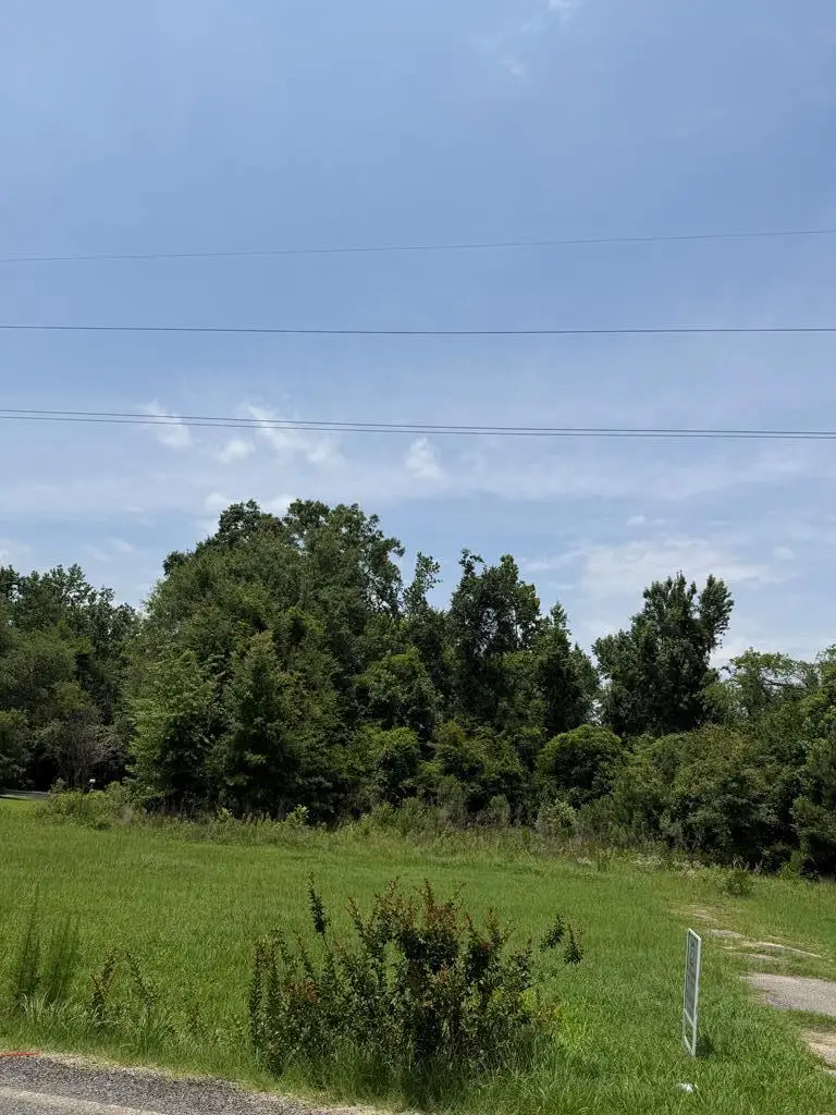 254 E Grow, Colquitt, GA 39837 - #1