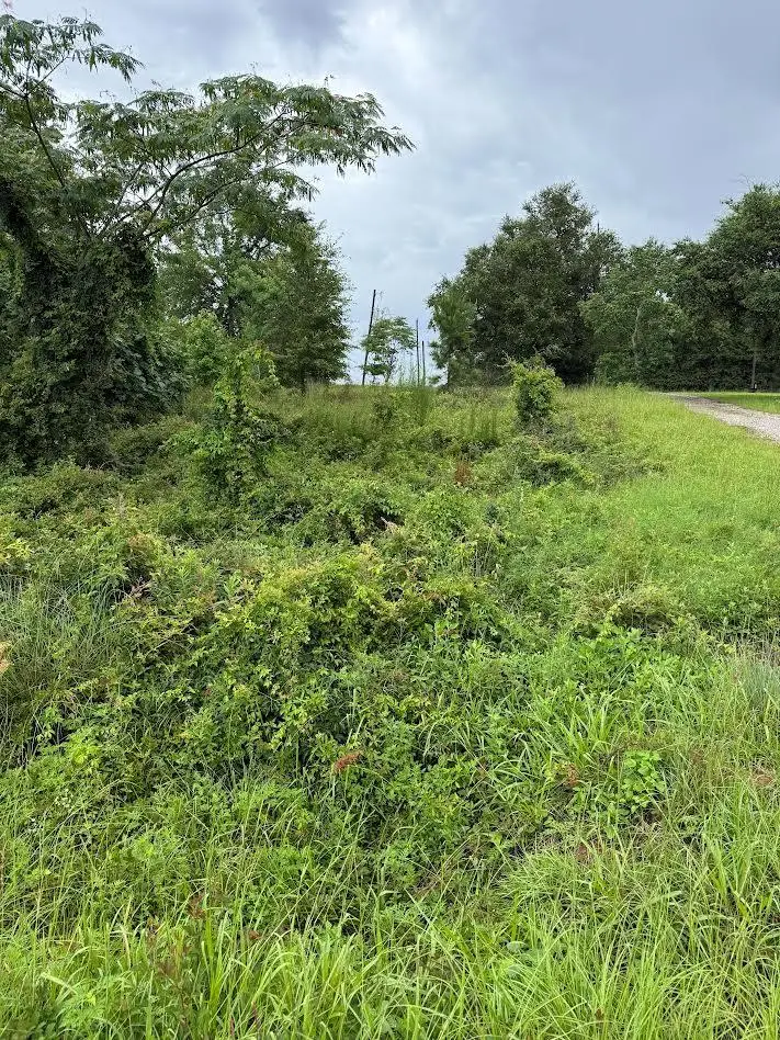 7993 Parkside Dr, Donalsonville, GA 39845 - #1