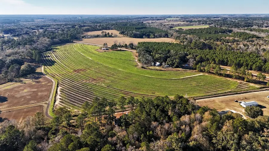00 Tired Creek Rd., Whigham, GA 39897 - #3
