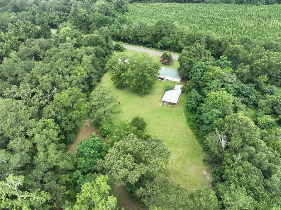 3690 Cedar Springs Rd, Cedar Springs, GA 39832 - #2