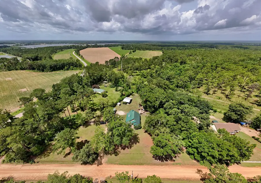 294 Harrell Mill Road, Climax, GA 39834 - #3