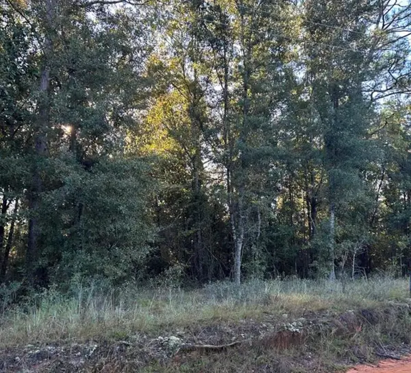 14 & 15 Paradise Drive, Donalsonville, GA 39845