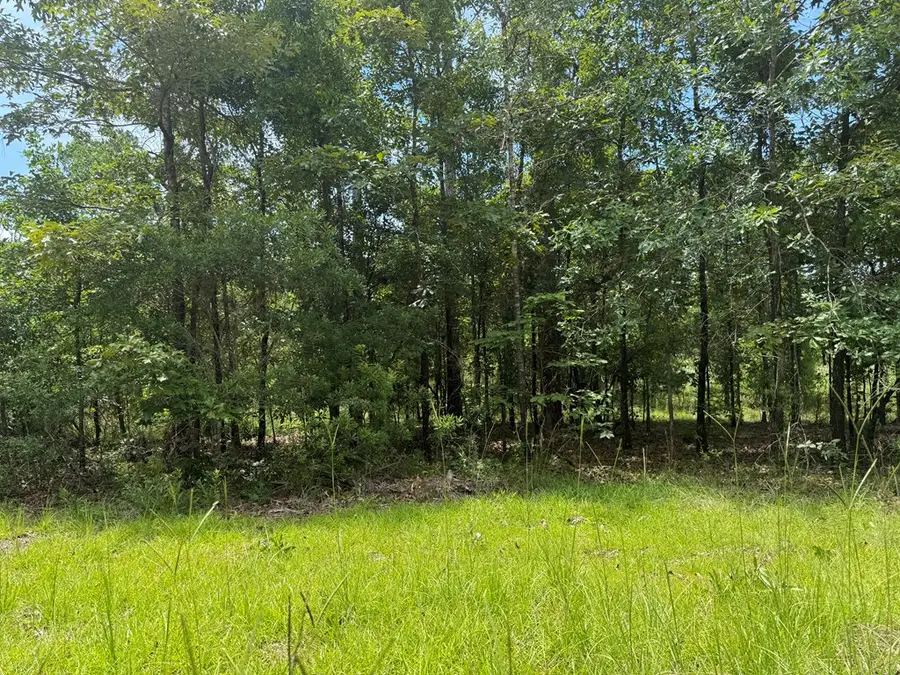 2825 Sunset Dr, Donalsonville, GA 39845 - #2