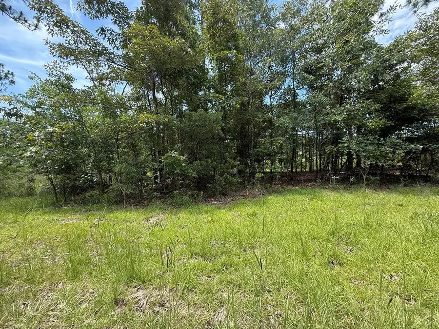 2823 Sunset Dr, Donalsonville, GA 39845 - #2