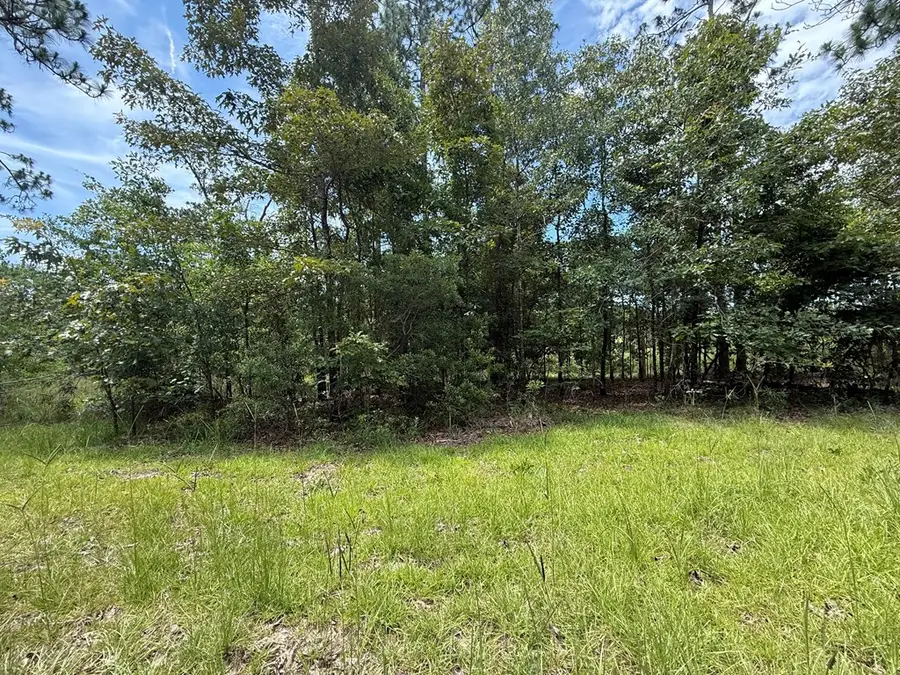 2823 Sunset Dr, Donalsonville, GA 39845 - #3