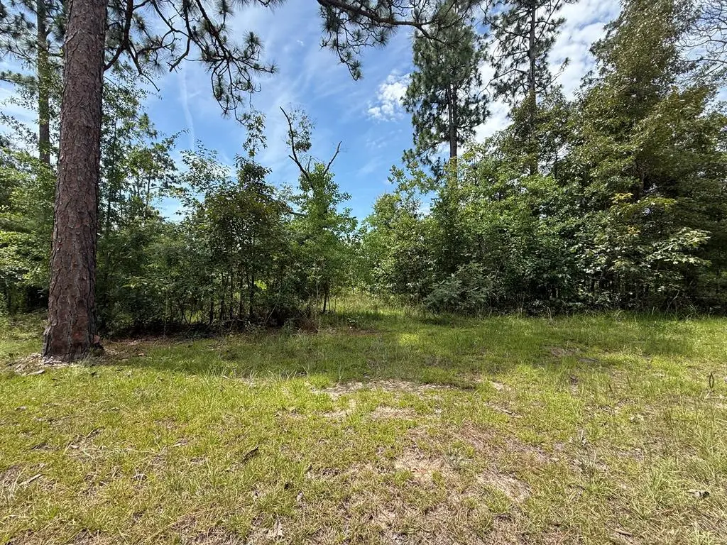 2821 Sunset Dr, Donalsonville, GA 39845 - #1