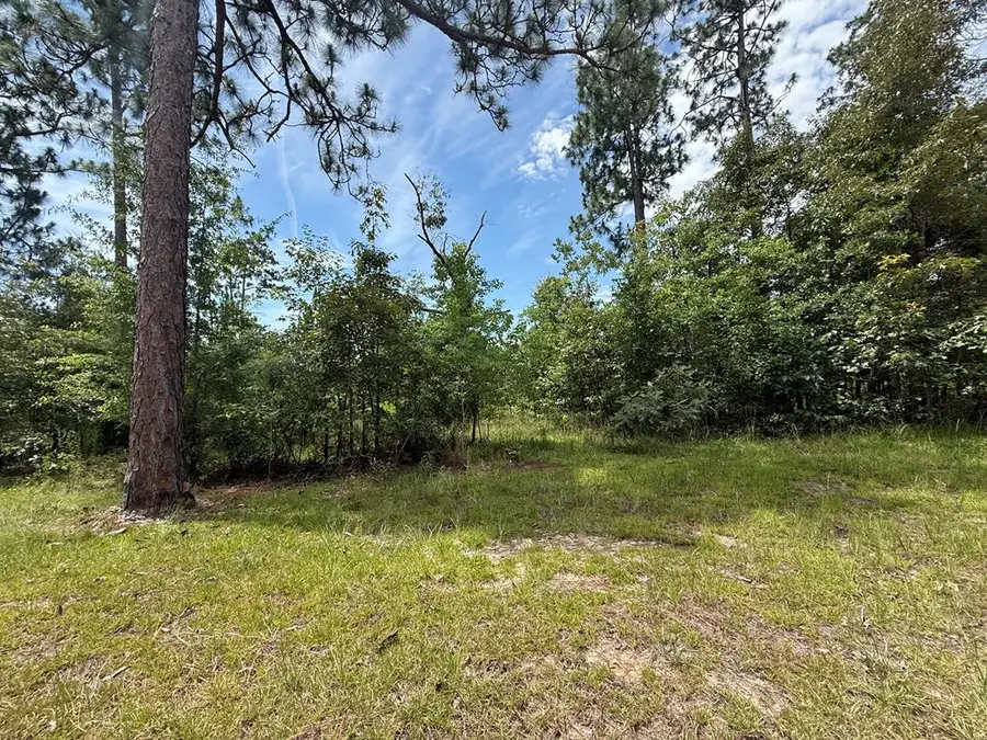 2821 Sunset Dr, Donalsonville, GA 39845 - #2